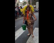 IMG 0282