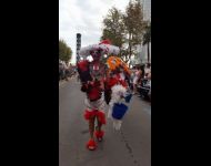 IMG 0286